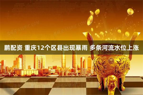 鹏配资 重庆12个区县出现暴雨 多条河流水位上涨